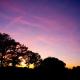 IMG 4481